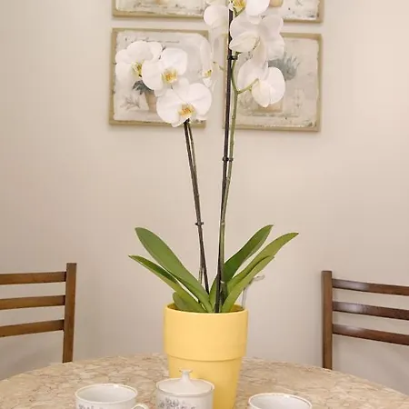 A Casa Di Teresa Alojamento de Acomodação e Pequeno-almoço *